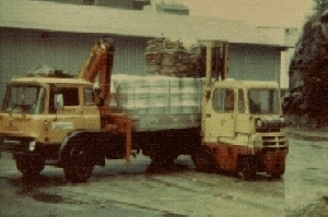1981.jpg