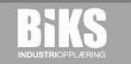 Biks.jpg